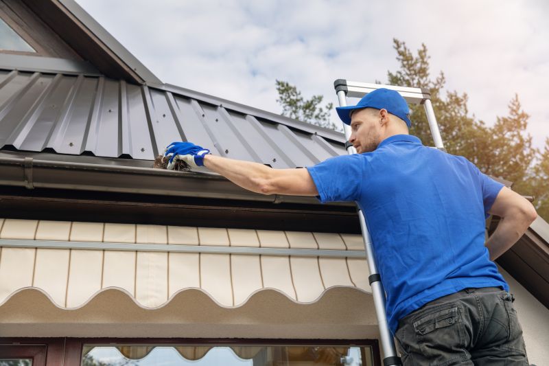 Gutter Cleaning in Longmont, CO