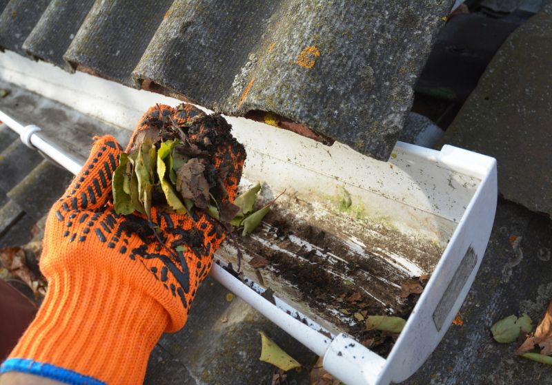 Gutter Maintenance in Annapolis, MD