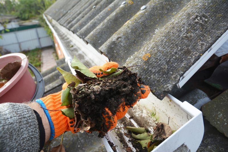 Roof Gutter Cleaning in Rochester, NY